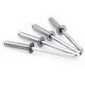 Rivets 1000pcs